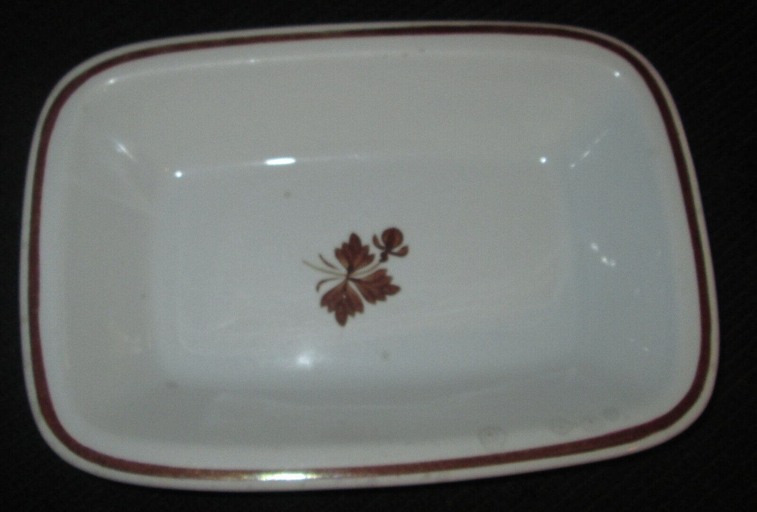 Royal Ironstone China 9x13 Platter Alfred Meakin England Copper Luster Tea Leaf