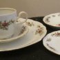 Traditions Fine China Johann Haviland Moss Rose 5 Piece Place Setting