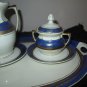 Vtg 7 PCS Oscar Schlegelmilch  TEA SET Hand Painted Oval Plate Creamer & sugar