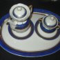Vtg 7 PCS Oscar Schlegelmilch  TEA SET Hand Painted Oval Plate Creamer & sugar