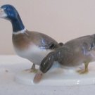 ROSENTHAL MALLARD DUCKS PORCELAIN FIGURINE