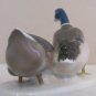 ROSENTHAL MALLARD DUCKS PORCELAIN FIGURINE