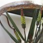 Wall Shelf Metal~Wheat feather Design~Brown~15" High, 15.25" Wide, 8" Deep