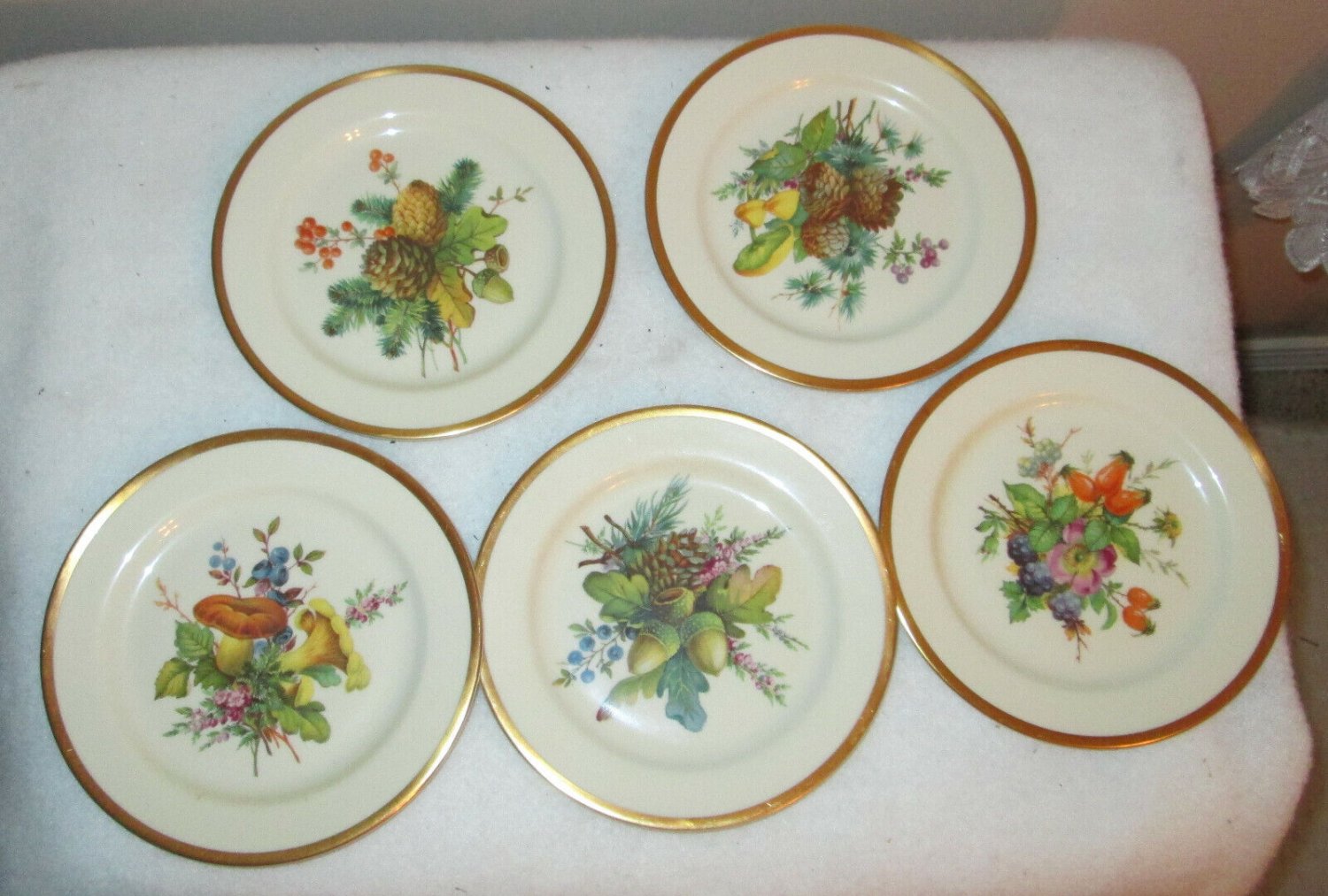 PICKARD HAND DECORATED 6" ACORN PLATES 5 PIECES