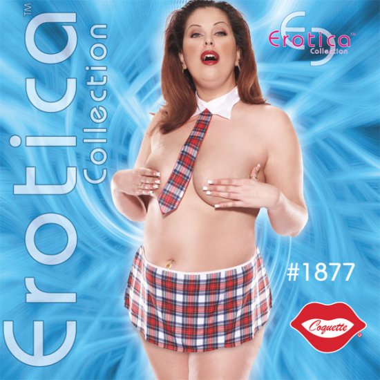 Sexy School Girl 3 pc Set Plus Size 1X-3X Adult Costume