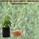 King Of Bitters, Green chiretta - Andrographis paniculata 50 Seeds