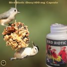 New Bird Biotic 100 mg Capsule