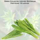 Culantro (Eryngium foetidum) Dried leaves 10 Leaves