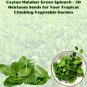 Ceylon Malabar Green Spinach - 20 Heirloom Seeds for Your Tropical Climbing Vege
