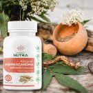 Natural & Organic Ancient Ashwagandha - 60 Capsules