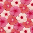 40 US SEEDS MIX FLOWER FRAGRANT VINCA PACIFICA GEORGIA PEACH PERIWINKLE