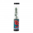 Garden Decor Living Christmas Tree Blue Spruce
