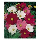 COSMOS SENSATION MIX FLOWER 35 US SEEDS