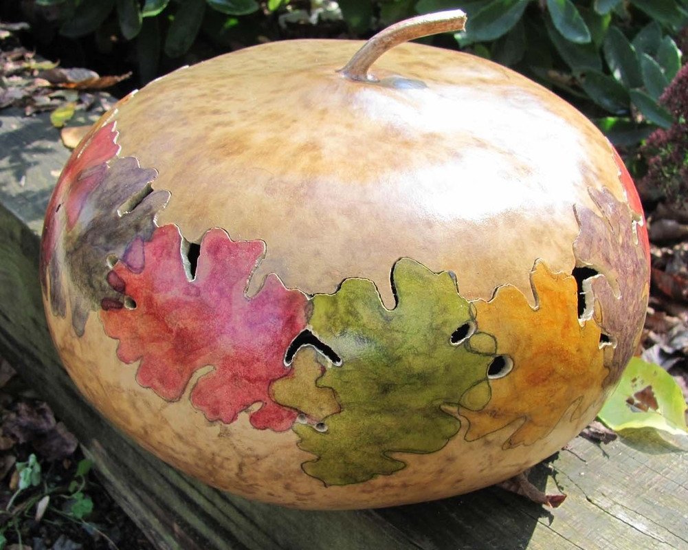 7 US SEEDS WORLDS LARGEST GOURD UP TO 5 FEET ACROSS