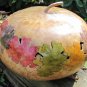 7 US SEEDS WORLDS LARGEST GOURD UP TO 5 FEET ACROSS