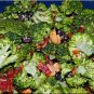HUGE YIELDS GIANT RUSSIAN BROCCOLI 100 US SEEDS