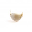 20 US Seed Garlic or Delicious Mild