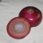 RARE ROMANIAN RAINBOW ONION SWEETEST 50 US SEEDS