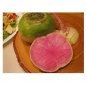 WATERMELON RADISH SWEET FLAVOR 500 US SEEDS