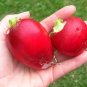 GERMAN GIANT RADISH SUPER LARGE HEIRLOOM SCARLET RED SKIN 100 US SEEDS