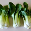 MINI BABY CHOI TOY CHOY 25 US SEEDS