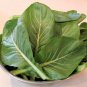 KOMATSUNA JAPANESE GREEN 25 US SEEDS