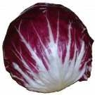 ROUGE DE VERONA RADICCHIO 100 US SEEDS