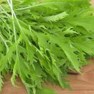 SWEET MIZUNA MUSTARD 100 US SEEDS