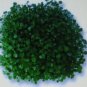 WATERCRESS CRESS 100 US SEEDS