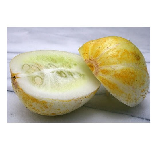 35 US SEEDS LEMON CUCUMBER