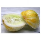 35 US SEEDS LEMON CUCUMBER