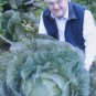 150 US SEEDS RARE GIANT RUSSIAN CABBAGE