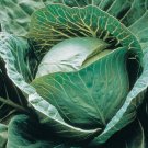 150 US SEEDS COPENHAGEN MARKET CABBAGE