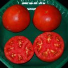 300 US SEEDS CELEBRITY HYBRID TOMATO