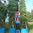 TOMATO TREE TALLEST 200 US SEEDS