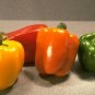 SWEETEST RED YELLOW GREEN ORANGE BELL PEPPER 300 US SEEDS