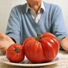 200 US SEEDS BEHEMOTH GIANT TOMATO LARGEST FRUIT