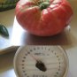 200 US SEEDS BEHEMOTH GIANT TOMATO LARGEST FRUIT