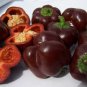 CHOCOLATE BEAUTY SWEET PEPPER 100 US SEEDS