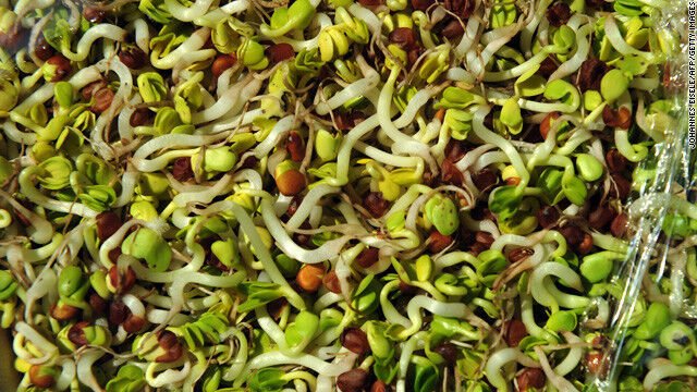SPROUTING MIX 2000 US SEEDS
