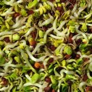 SPROUTING MIX 2000 US SEEDS