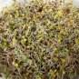 SPROUTING MIX 2000 US SEEDS