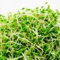 SPROUTING MIX 2000 US SEEDS