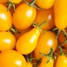 YELLOW PLUM TOMATO 100 US SEEDS