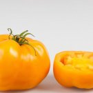 20 US SEEDS SUNRAY TOMATO