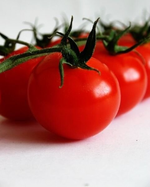 WORLDS SMALLEST DWARF CHERRY TOMATO 15 US SEEDS