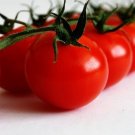 WORLDS SMALLEST DWARF CHERRY TOMATO 15 US SEEDS