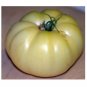 20 US SEEDS GREAT WHITE TOMATO