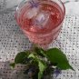 30 US SEEDS BORAGE HERB OF GLADNESS