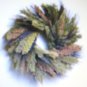 BROOM CORN MULTI COLORED 50 US SEEDS
